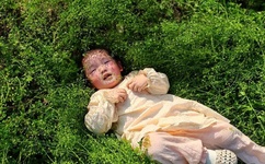 西西裸体艺术347